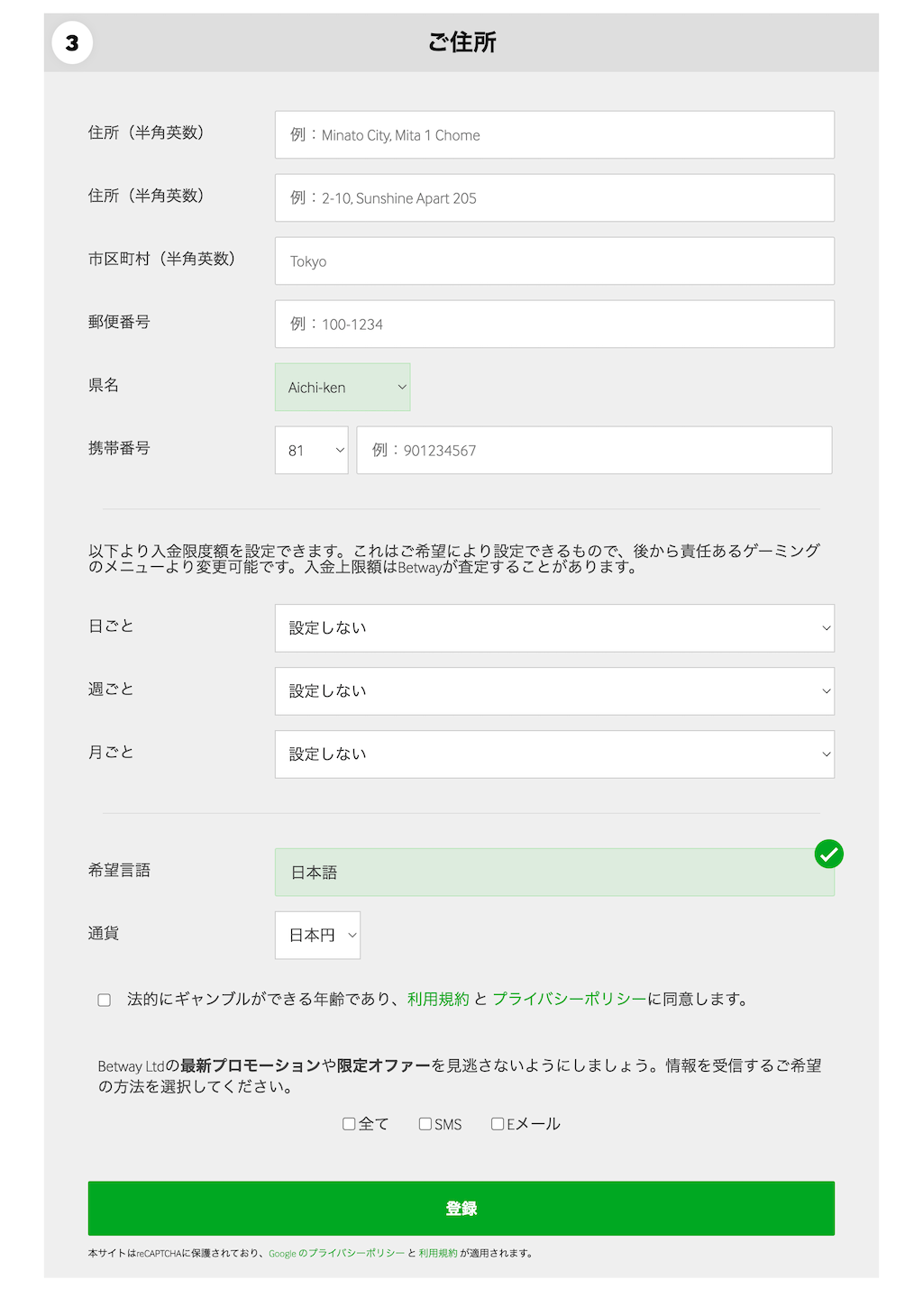 betway登録方法（日本語ページの入力）３